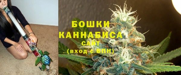 PSILOCYBIN Надым