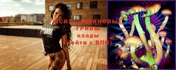 дмт Нефтегорск