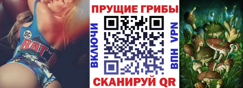 где найти наркотики Тобольск Галлюциногенные грибы мицелий
