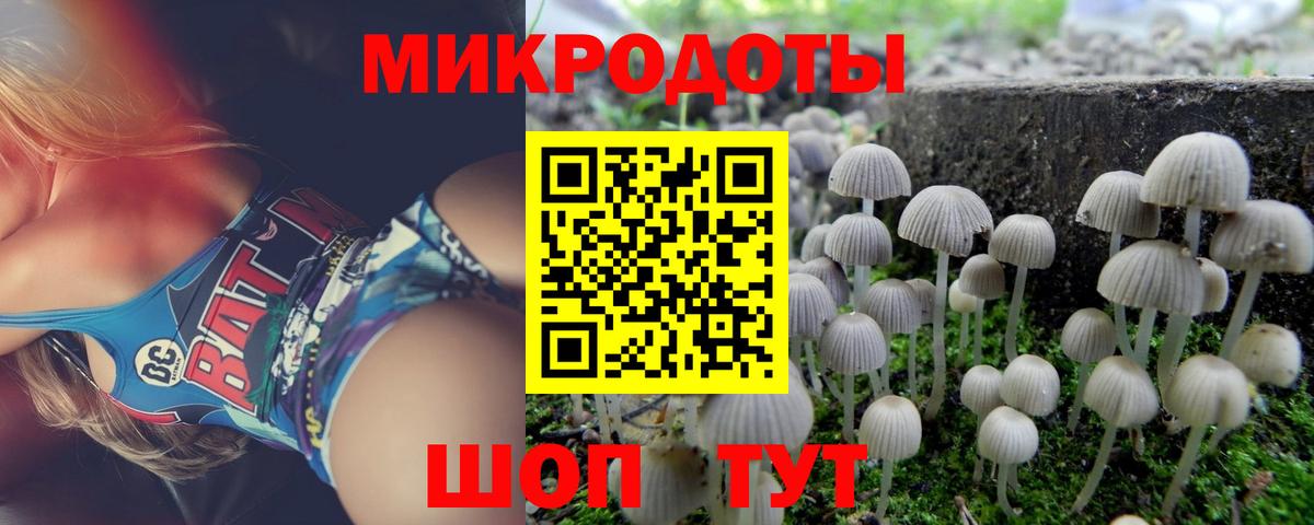Тобольск  Галлюциногенные грибы мухоморы  Вход с VPN 